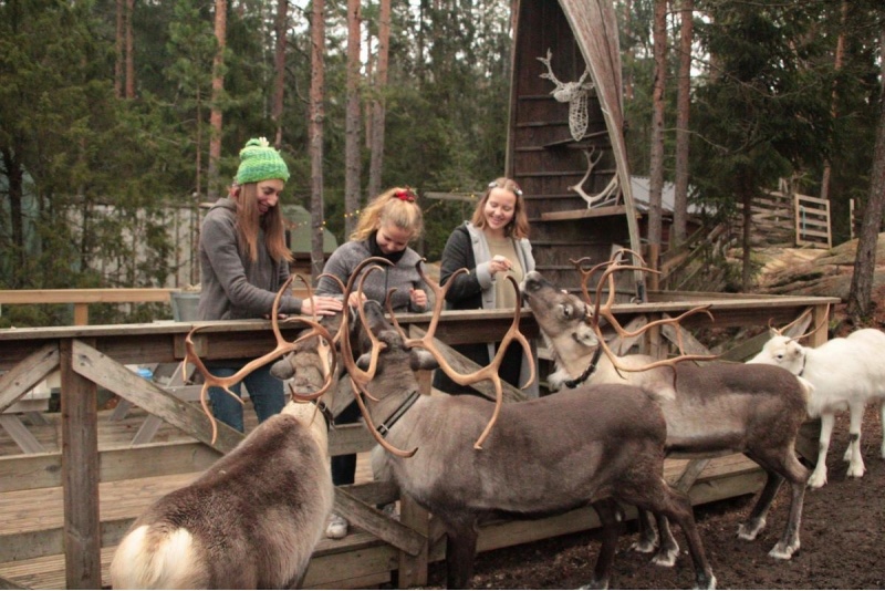Perepilet Nuuksio põhjapõdraparki
