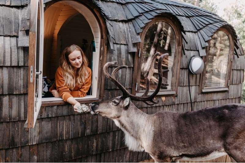 Perepilet Nuuksio põhjapõdraparki