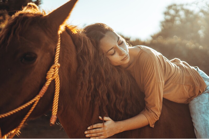Individuaal seanss hobusega Animal Assisted Coaching/ Method