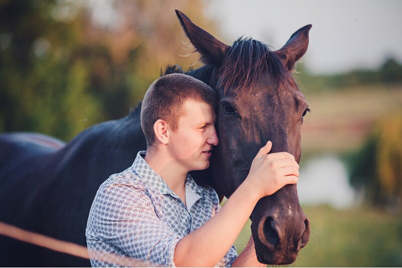 Individuaal seanss hobusega Animal Assisted Coaching/ Method