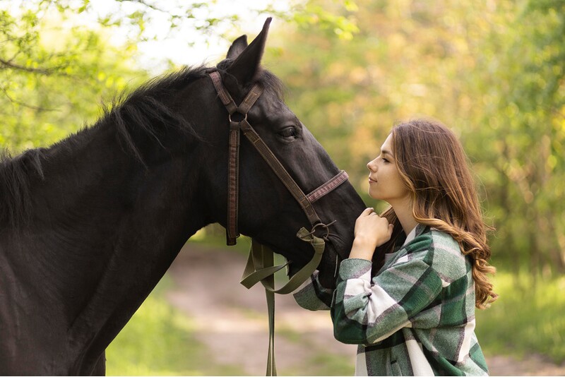 Пять индивидуальных сеансов с лошадью Animal Assisted Coaching /Method
