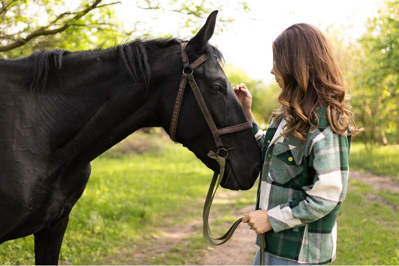 Пять индивидуальных сеансов с лошадью Animal Assisted Coaching /Method