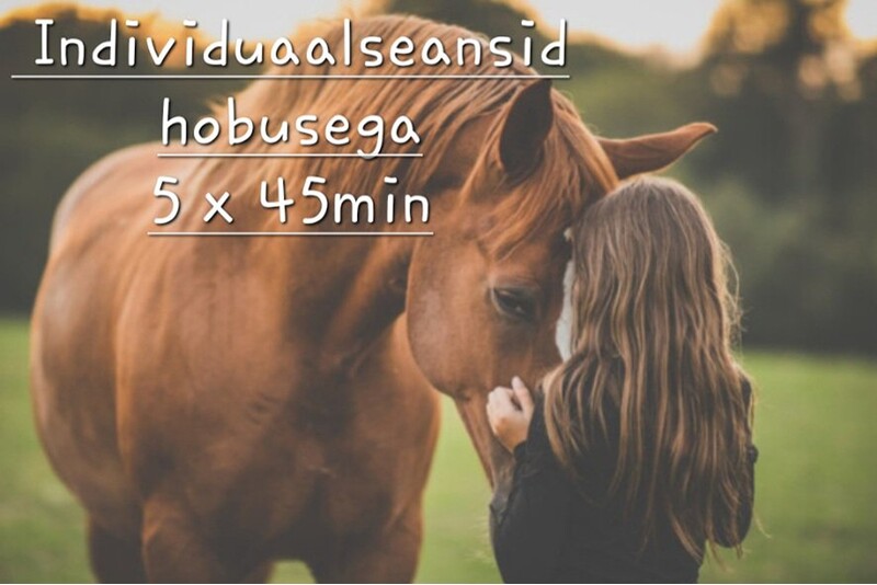 Individuaal seanss hobusega Animal Assisted Coaching/ Method