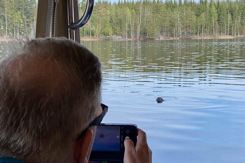 Экскурсия к сайменской нерпе в Пумале на Ekopaatti