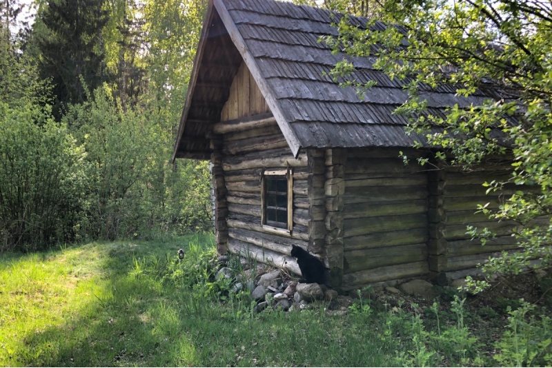 Отдых для гурманов сауны в Vango Imedemaa