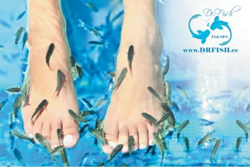 Рыботерапия с рыбками Гарра Руфа и охлаждающее обертывание с массажем для уставших ног