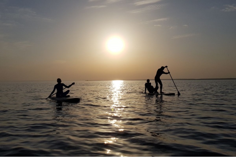 Аренда 2x Premium SUP-досок от Surf Center в Пярну