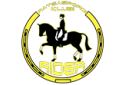 Ratsaspordiklubi Rider